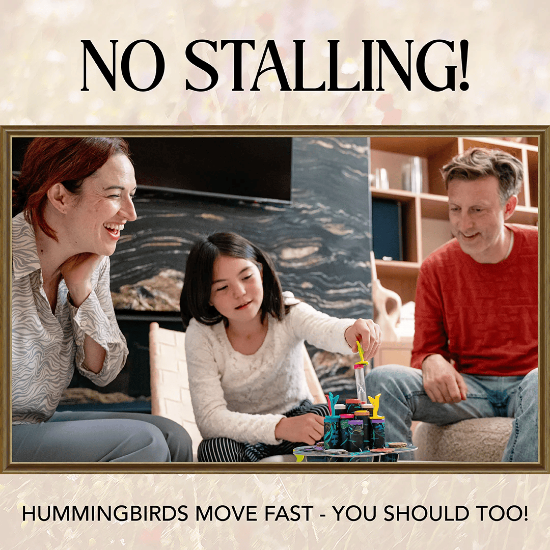 Hummingbirds (EN) JEUX - Famille