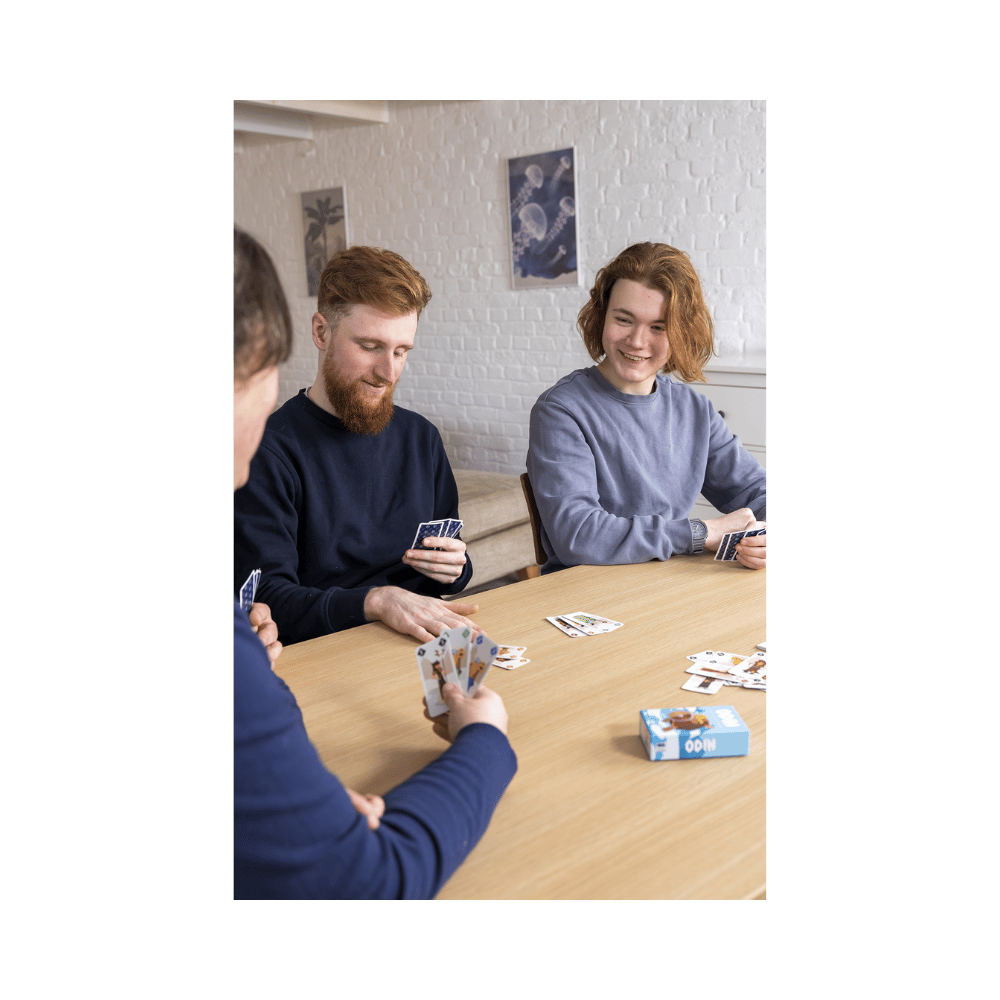 Odin (ML) JEUX - Ambiance-Party