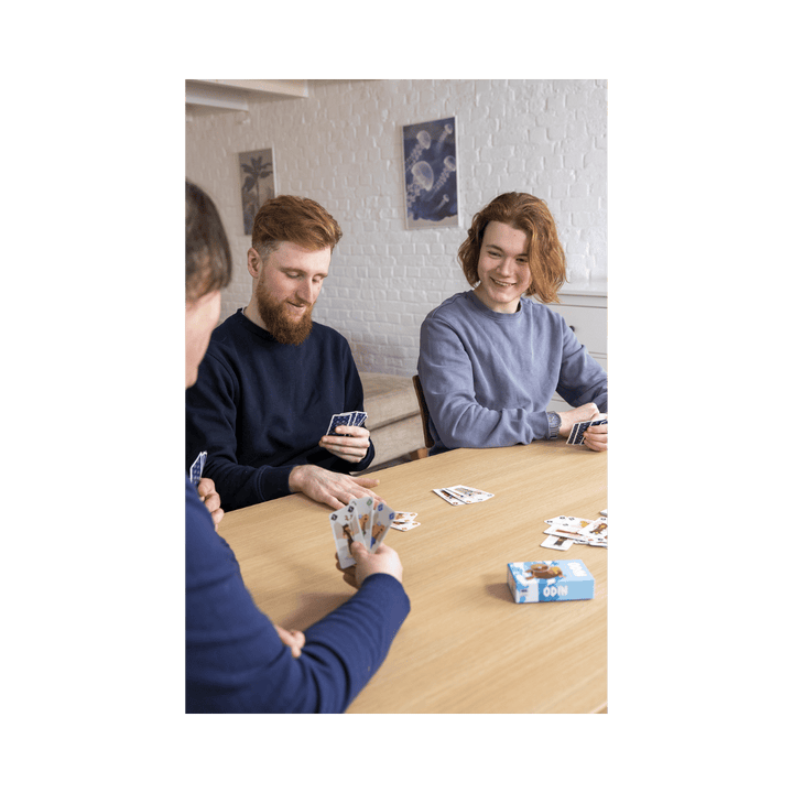 Odin (ML) JEUX - Ambiance-Party