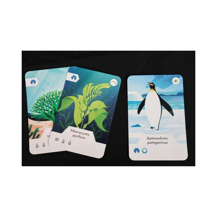 Ecosfera (FR) JEUX - Coopératifs