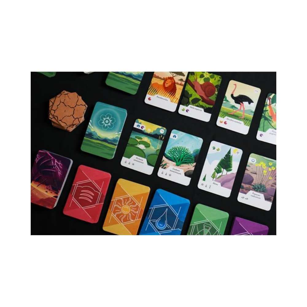 Ecosfera (FR) JEUX - Coopératifs