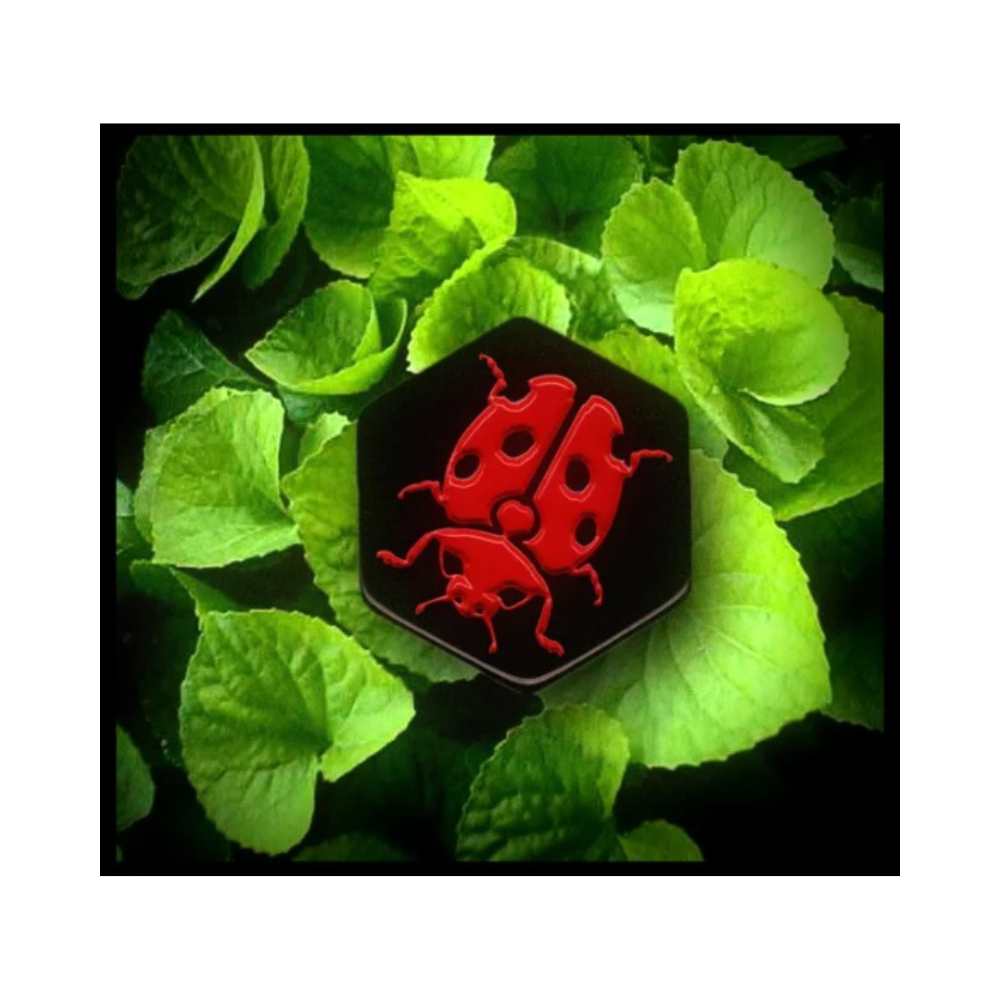 Hive: ext. Ladybug (ML) JEUX - Deux joueurs