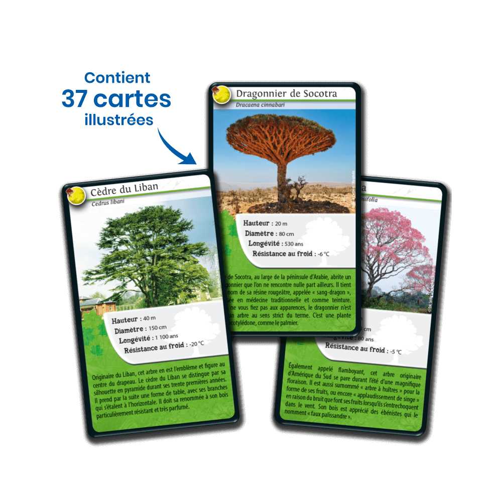 Défis Nature / Arbres du monde (FR) JEUX - Éducatif