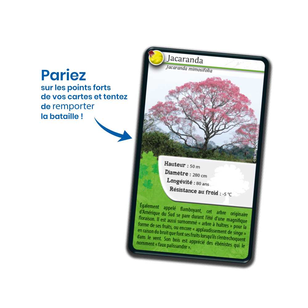 Défis Nature / Arbres du monde (FR) JEUX - Éducatif