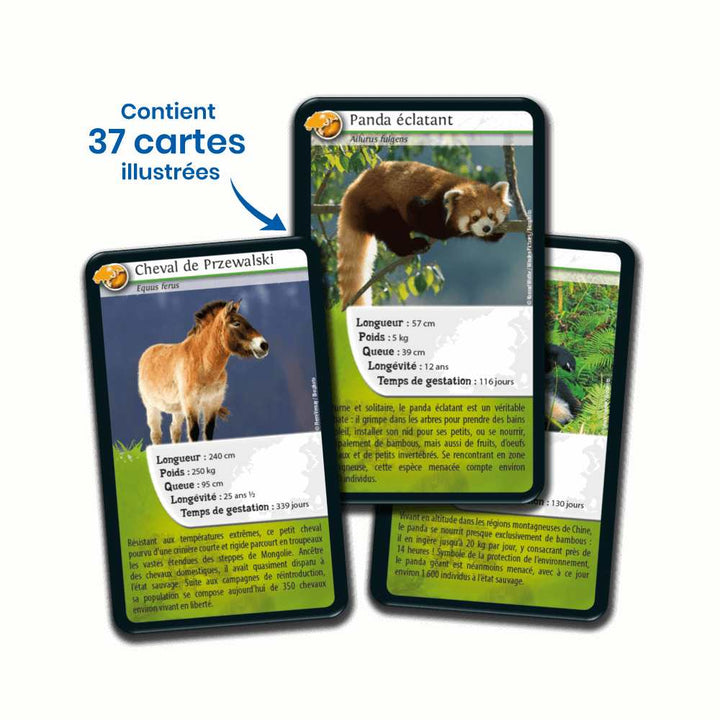 Défis Nature / Asie (FR) JEUX - Éducatif