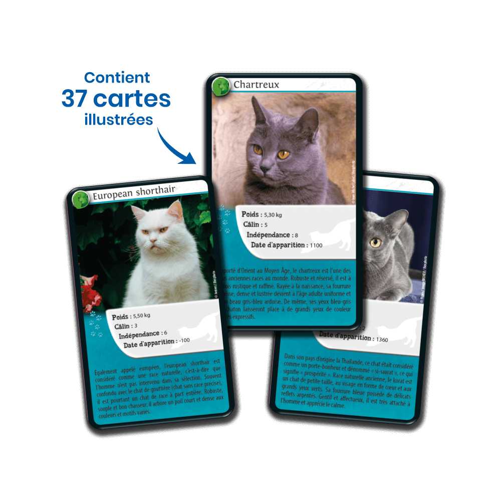 Défis Nature / Chats (FR) JEUX - Éducatif