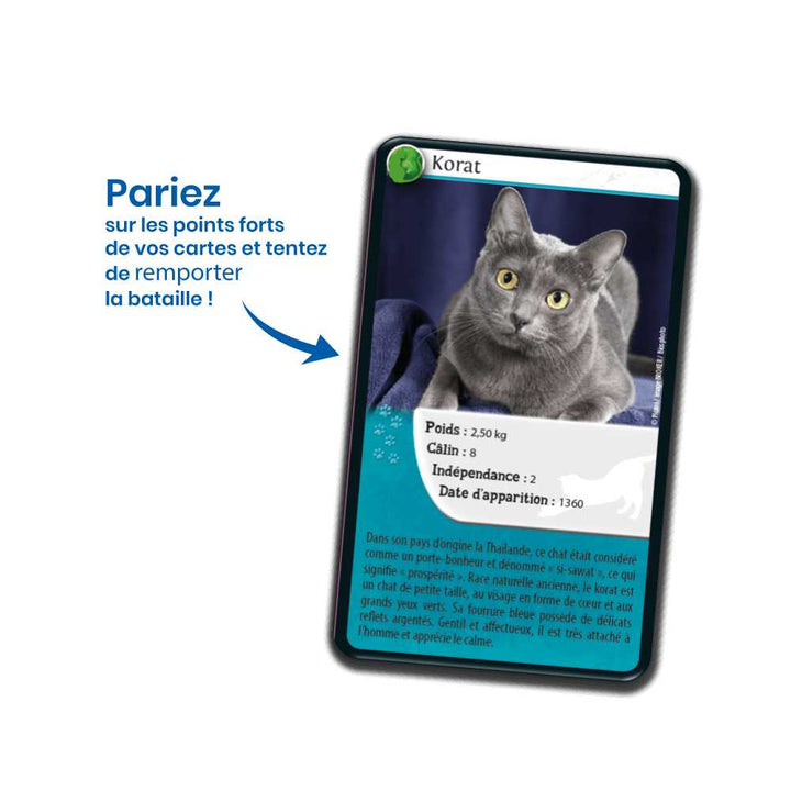 Défis Nature / Chats (FR) JEUX - Éducatif