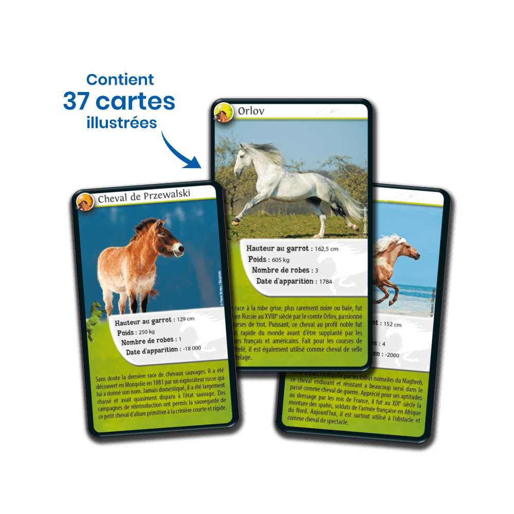 Défis Nature / Chevaux (FR) JEUX - Éducatif