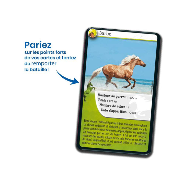 Défis Nature / Chevaux (FR) JEUX - Éducatif