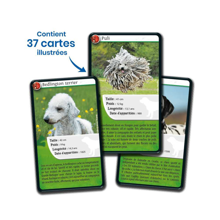Défis Nature / Chiens (FR) JEUX - Éducatif