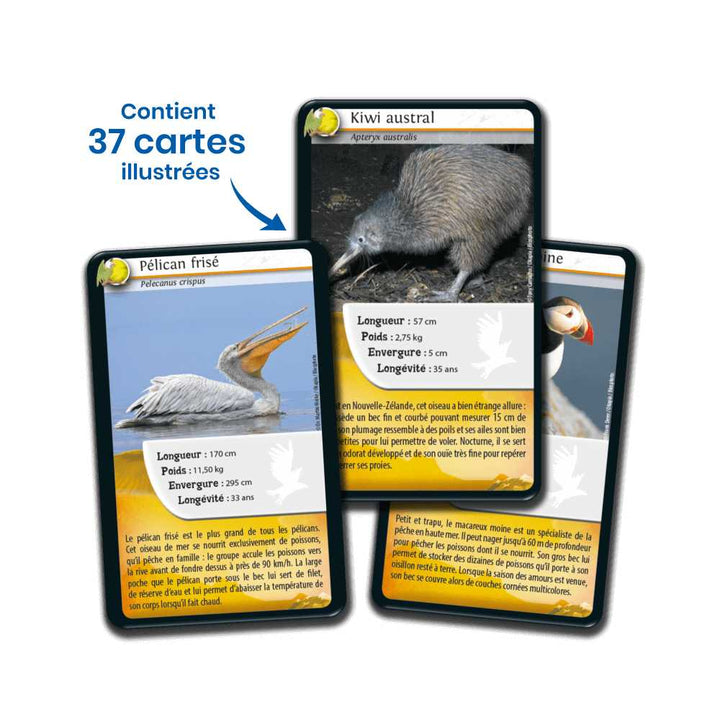 Défis Nature / Oiseaux (FR) JEUX - Éducatif
