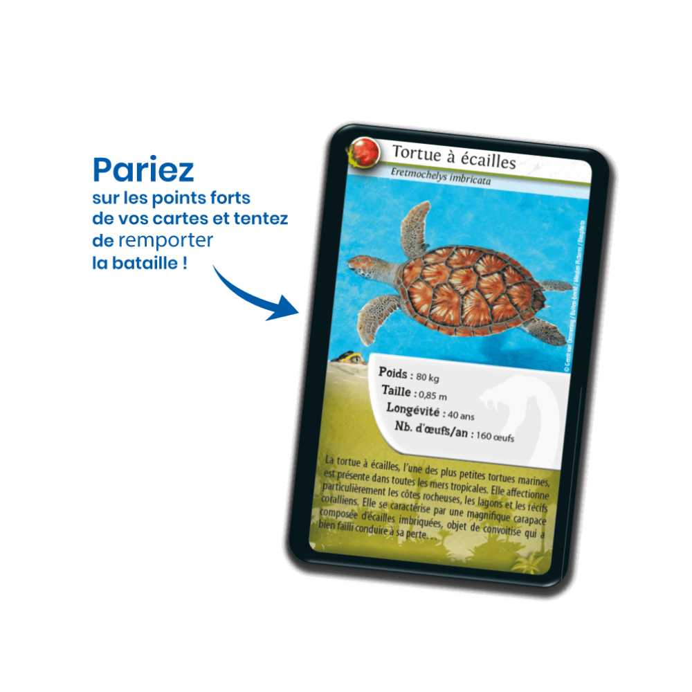 Défis Nature / Reptiles (FR) JEUX - Éducatif