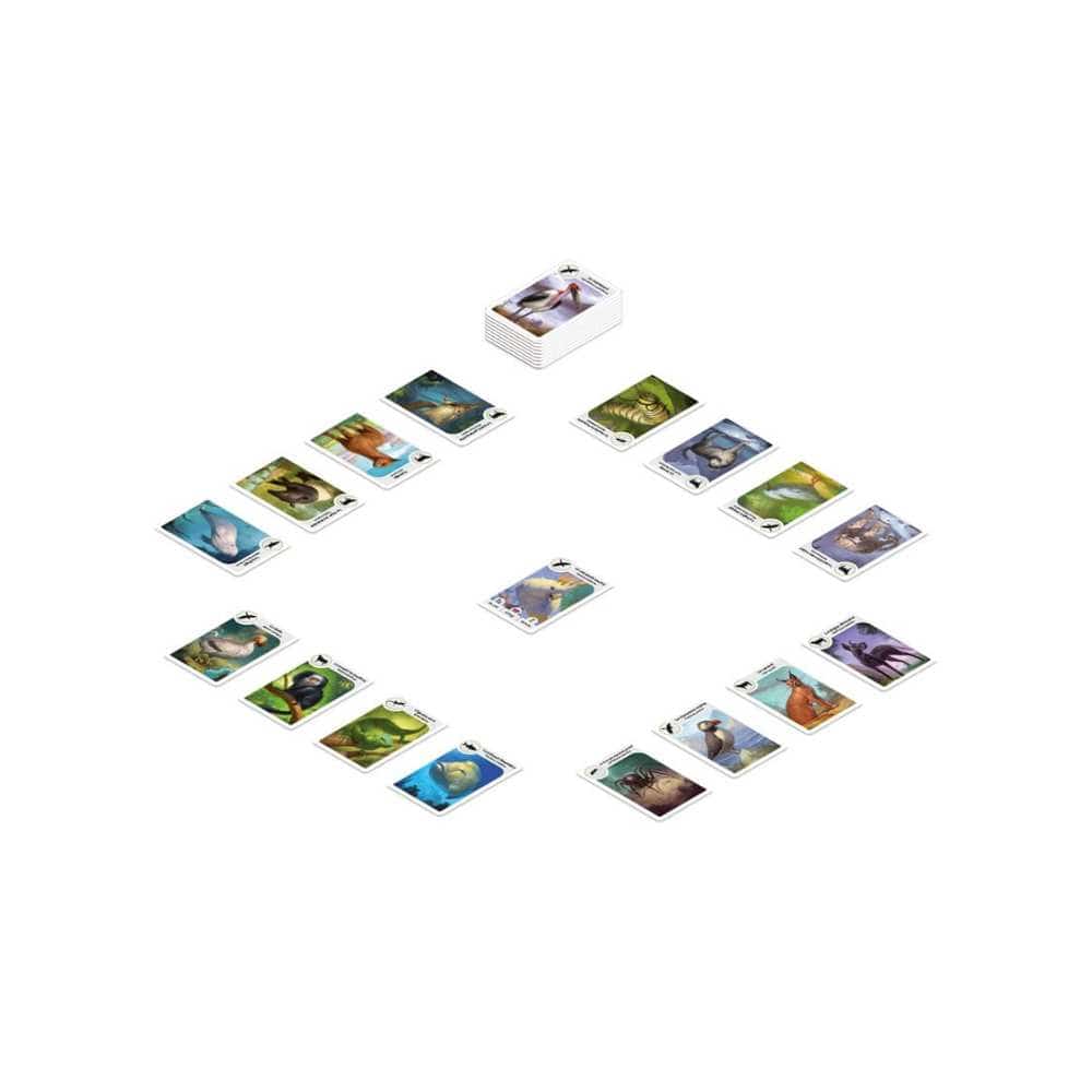 Cardline - Animaux - Deuxième édition (FR) JEUX - Enfants - Enfants 7 ans +