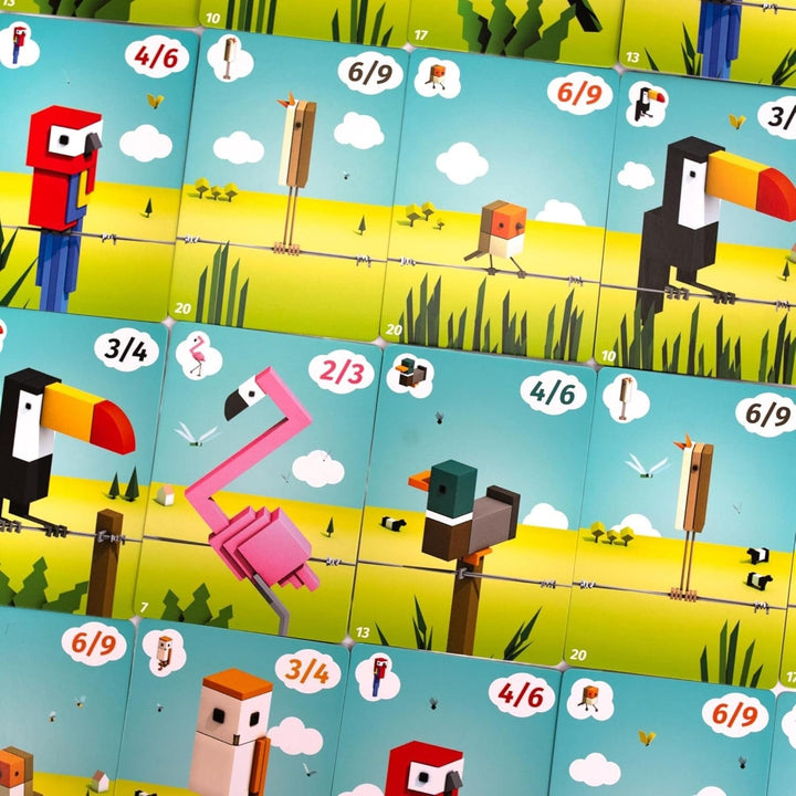 Cubirds (ML) JEUX - Famille