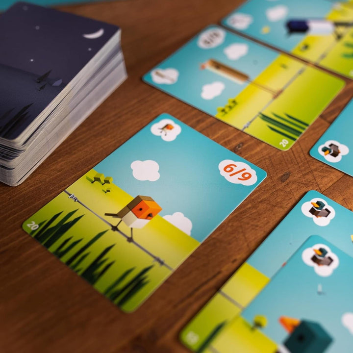 Cubirds (ML) JEUX - Famille
