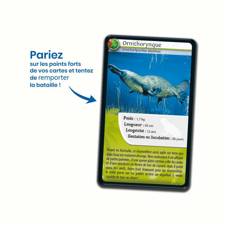Défis Nature / Animaux extraordinaires (FR) JEUX - Famille