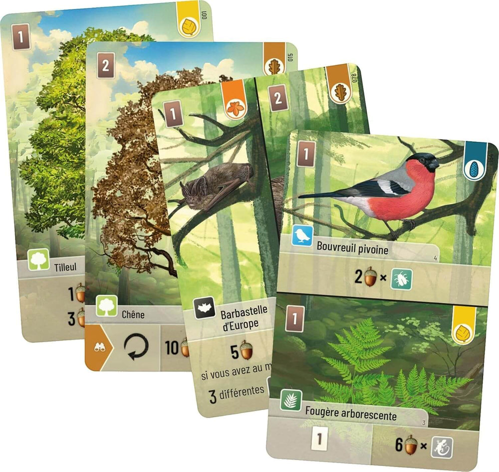 Forêt mixte (FR) JEUX - Famille