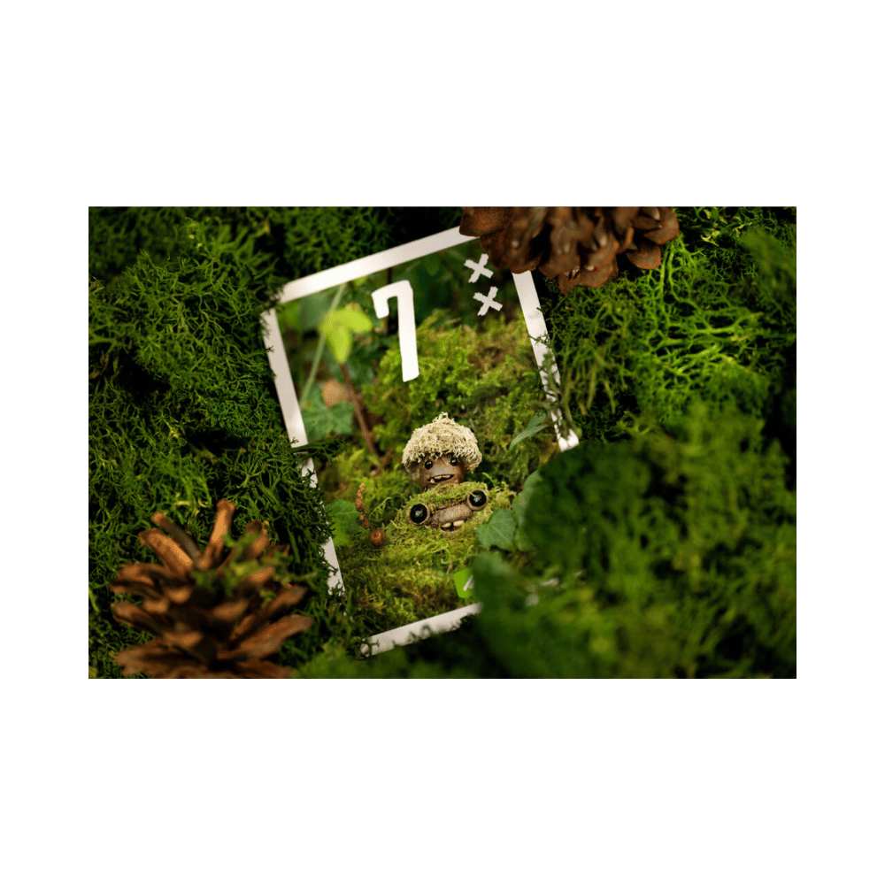 Pixies (ML) JEUX - Famille