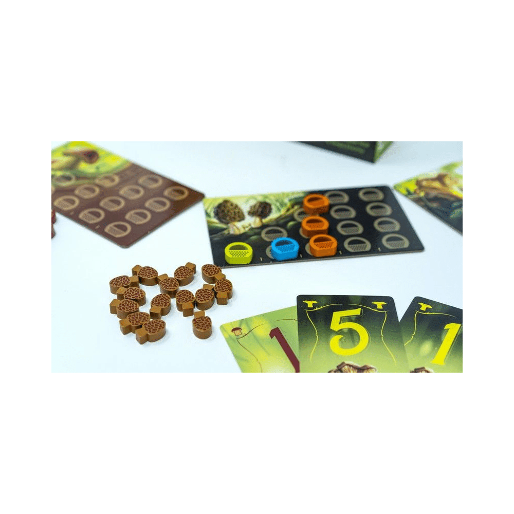 Wonder Woods (ML) JEUX - Famille