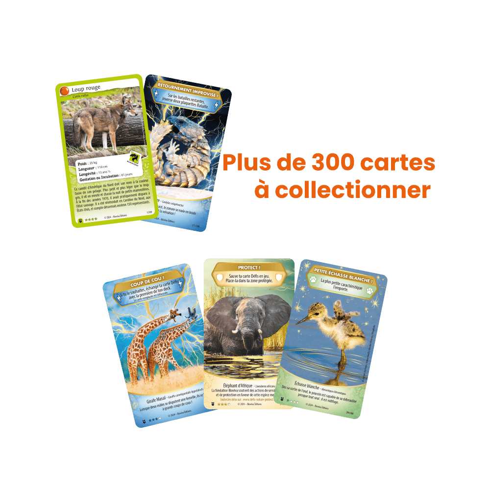 Défis Nature Protect - Pack de démarrage: Gorille (FR) JEUX - Jeux de cartes - Défis Nature Protect - Pack de démarrage