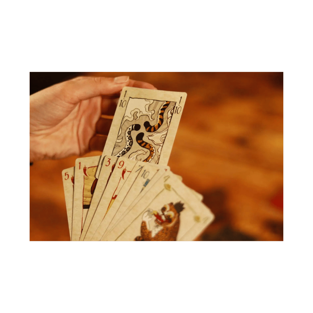 Spicy (FR) JEUX - Jeux de cartes