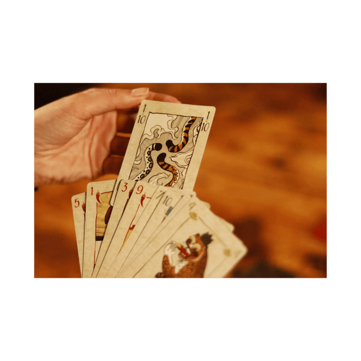 Spicy (FR) JEUX - Jeux de cartes