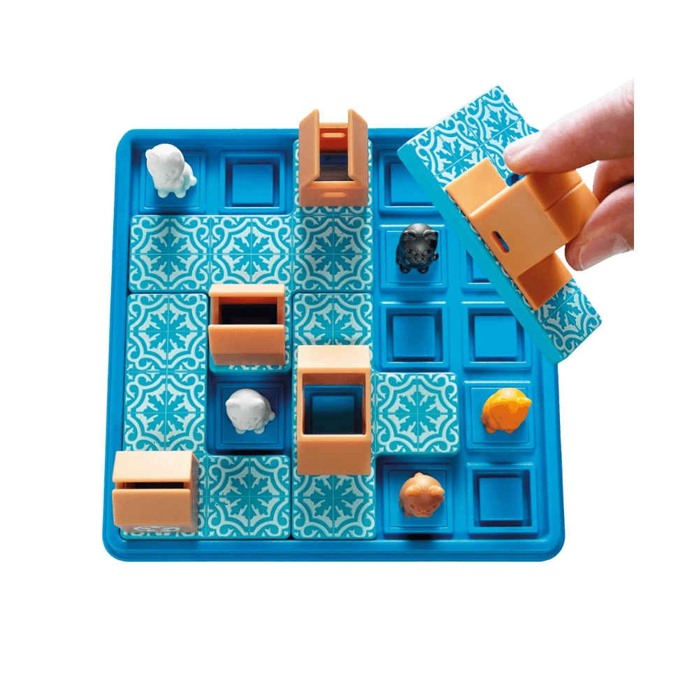 Chats tournent en rond (FR) JEUX - Solo