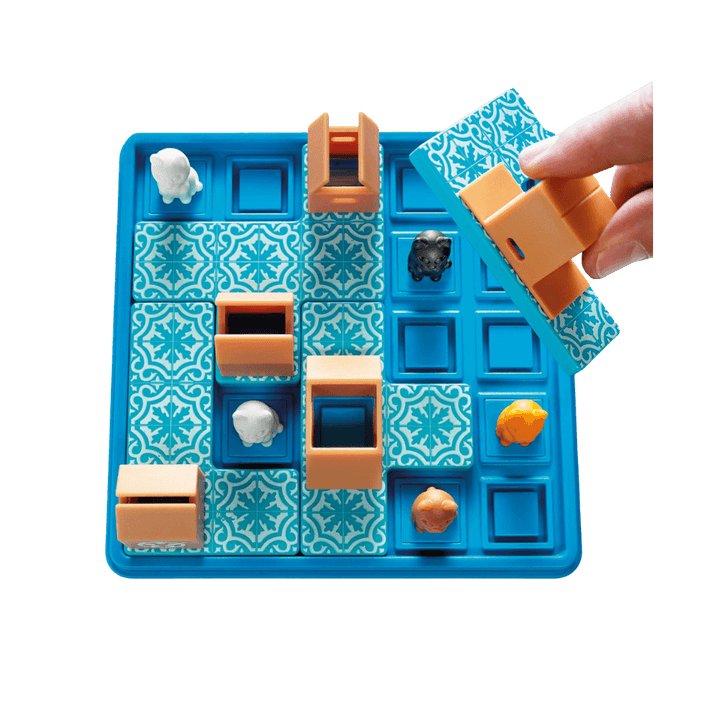 Chats tournent en rond (FR) JEUX - Solo