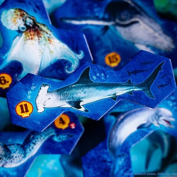 AQUA - Biodiversity in the Oceans (EN) JEUX - Stratégie - Stratégie intermédiaire