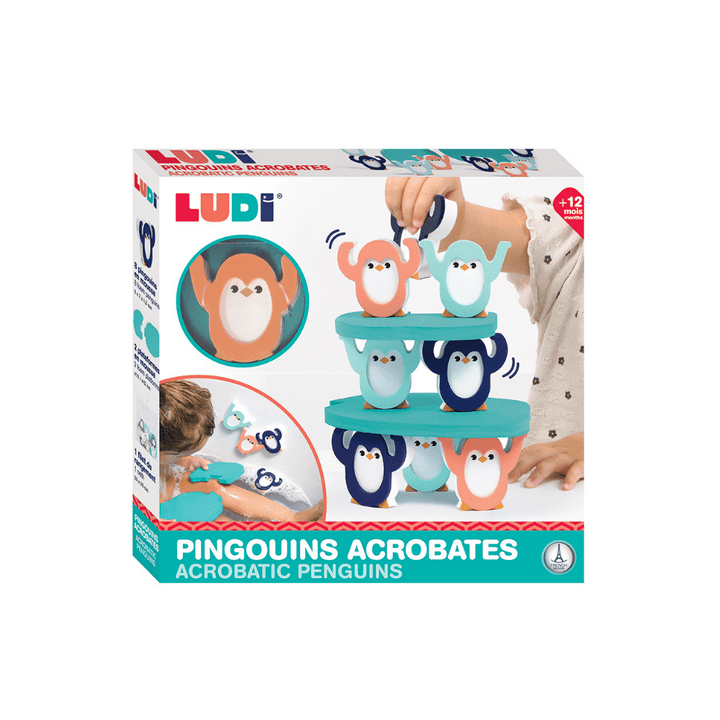 Pingouins acrobates (ML)