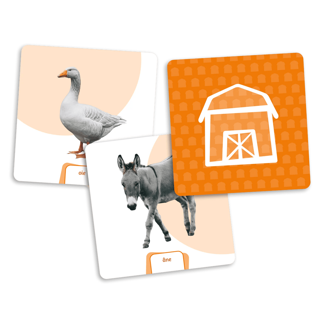 Le dé des premiers mots - Ext. les animaux (FR) JEUX - Éducatif