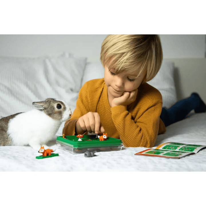 Lièvres et renards (FR) JEUX - Solo