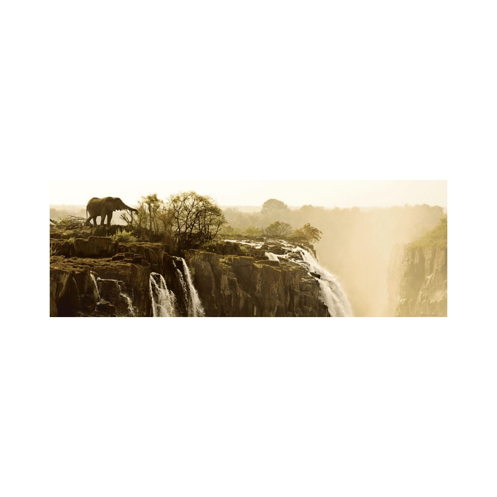 Puzzle 1000: Elephant - Edition Humboldt