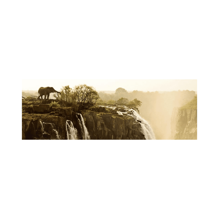 Puzzle 1000: Elephant - Edition Humboldt
