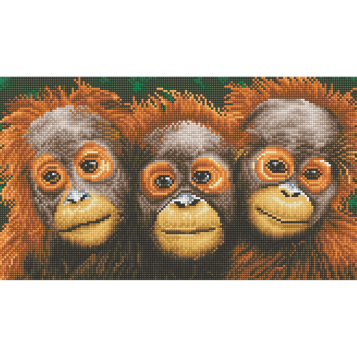 Oranging Around 55x35 Diamond Dotz PASSE-TEMPS - Broderie diamant