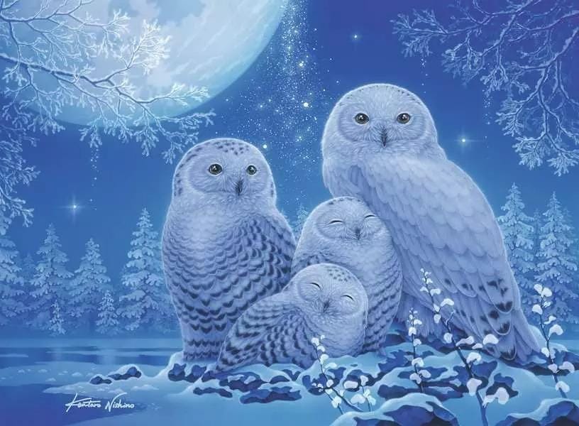 Owls in the Moonlight (500 pcs) - Brille dans le noir CASSE-TÊTE - 400 - 550 morceaux
