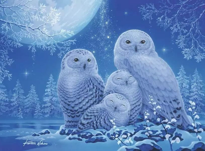 Owls in the Moonlight (500 pcs) - Brille dans le noir CASSE-TÊTE - 400 - 550 morceaux