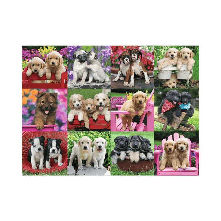 Puppy Pals (500 pc) CASSE-TÊTE - 400 - 550 morceaux