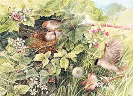 Puzzle 1000 Hidden Nest CASSE-TÊTE - 1000 morceaux