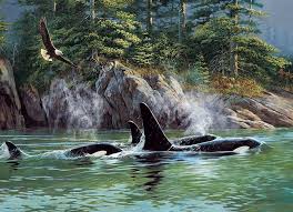 Puzzle 1000: Orcas CASSE-TÊTE - 1000 morceaux