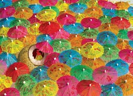 Puzzle 1000: The Lime in the Coconut CASSE-TÊTE - 1000 morceaux