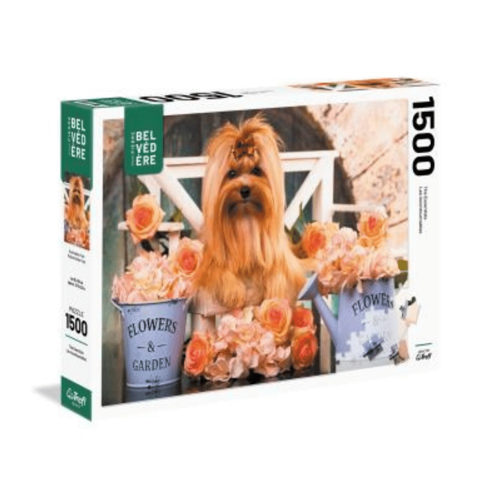 Puzzle 1500: Golden york mignon CASSE-TÊTE - 1500 morceaux
