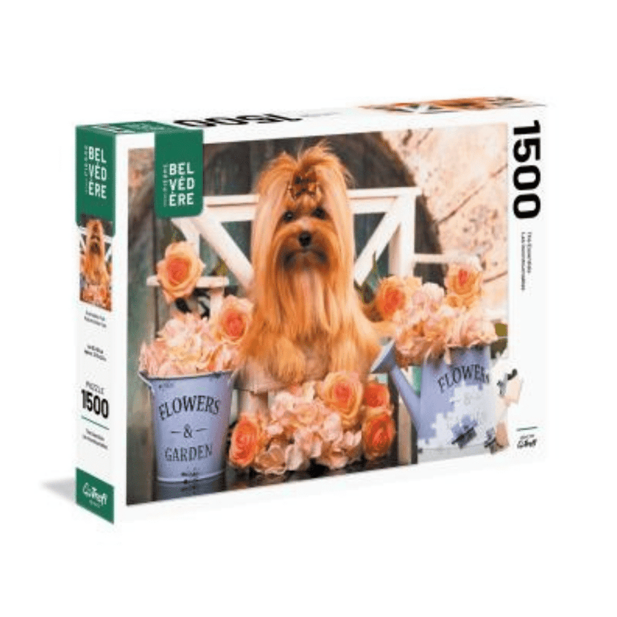 Puzzle 1500: Golden york mignon CASSE-TÊTE - 1500 morceaux