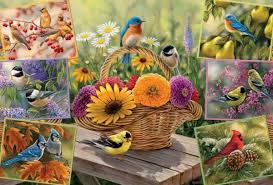 Puzzle 2000 Rosemary's Birds CASSE-TÊTE - 2000 morceaux