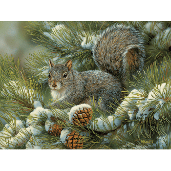 Puzzle 275: Gray Squirrel CASSE-TÊTE - 200 - 275 morceaux