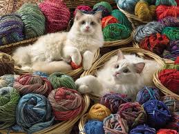 Puzzle 275: Ragdolls CASSE-TÊTE - 200 - 275 morceaux
