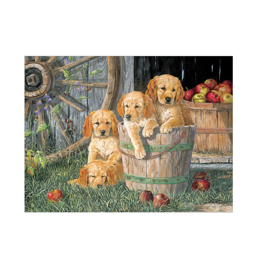 Puzzle 350: Puppy Pail CASSE-TÊTE - 300 - 375 morceaux