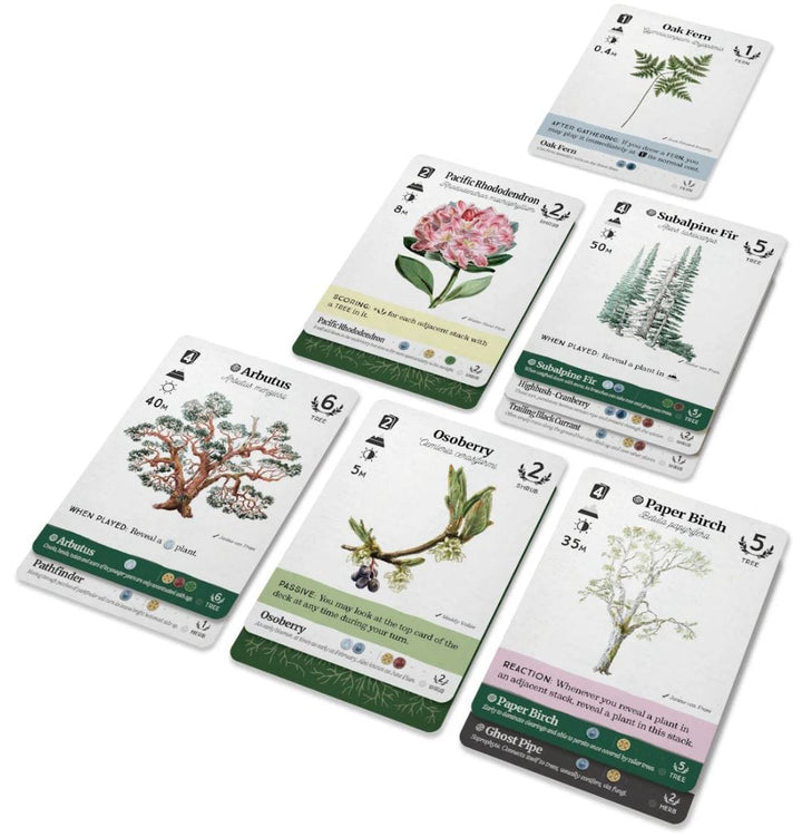 Reforest: Old Growth (EN) JEUX - Famille