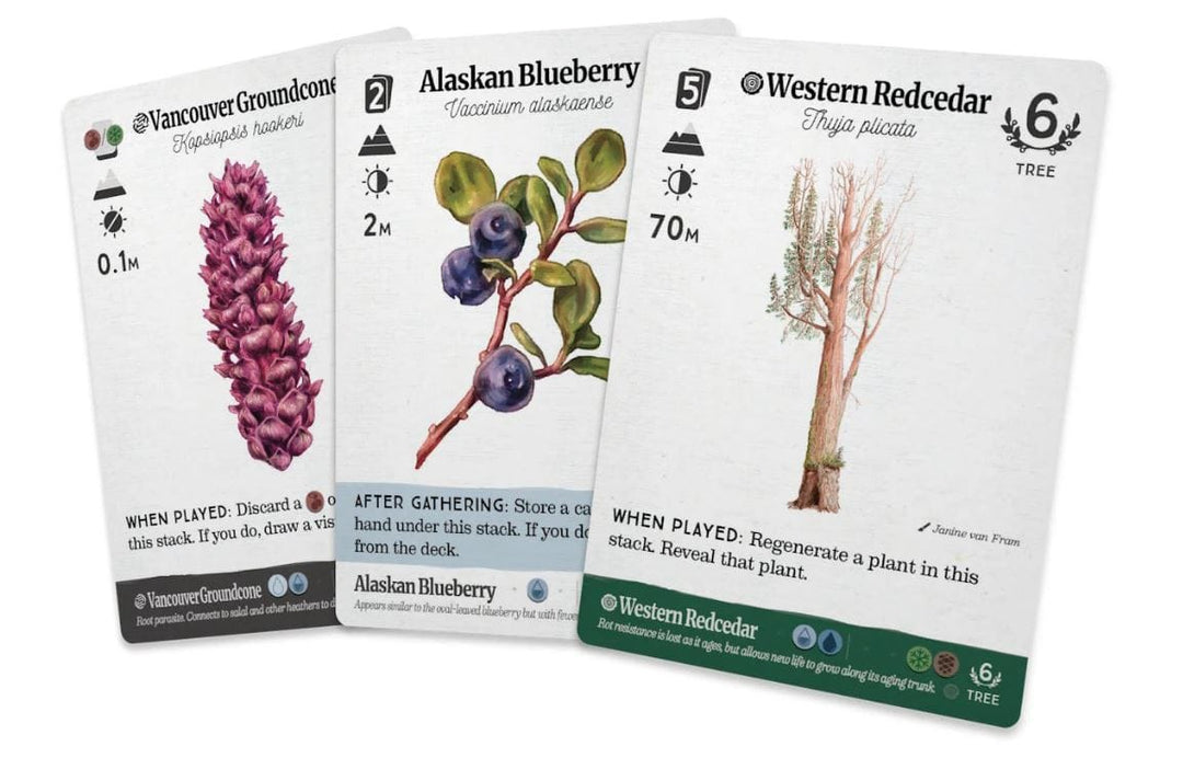 Reforest: Old Growth (EN) JEUX - Famille