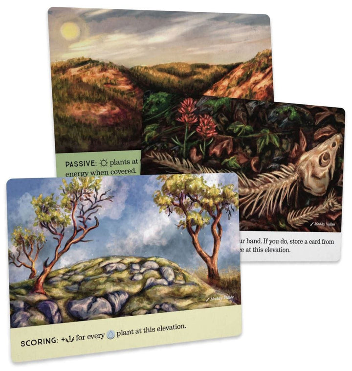Reforest: Old Growth (EN) JEUX - Famille